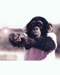 pic for monkey gun